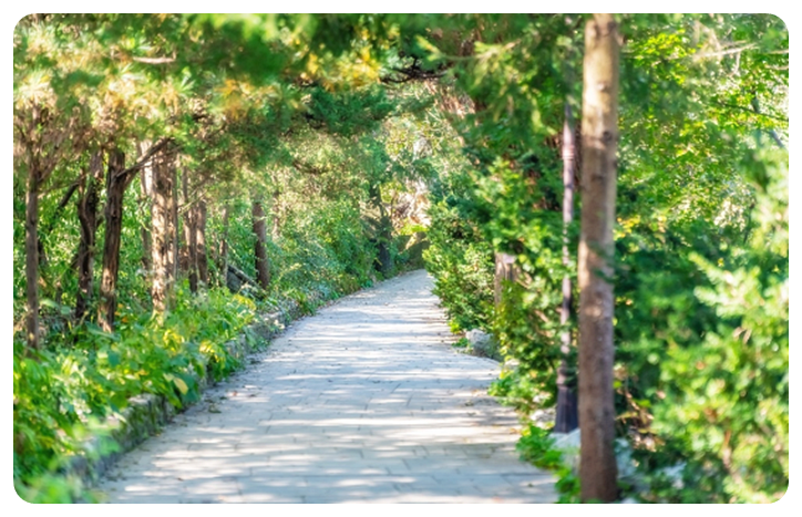 파주 벽초지 수목원&#44; 버들길