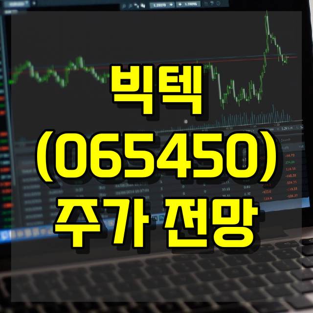 빅텍(065450) 주가 전망