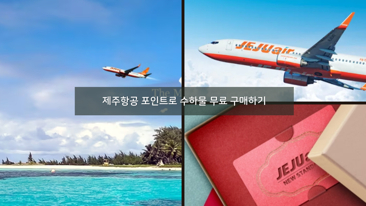 제주항공 포인트로 수하물 무료 구매하기 (좌석지정, 기내식) 리프레시 포인트