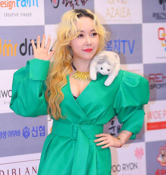 낸시랭 음주운전 적발
