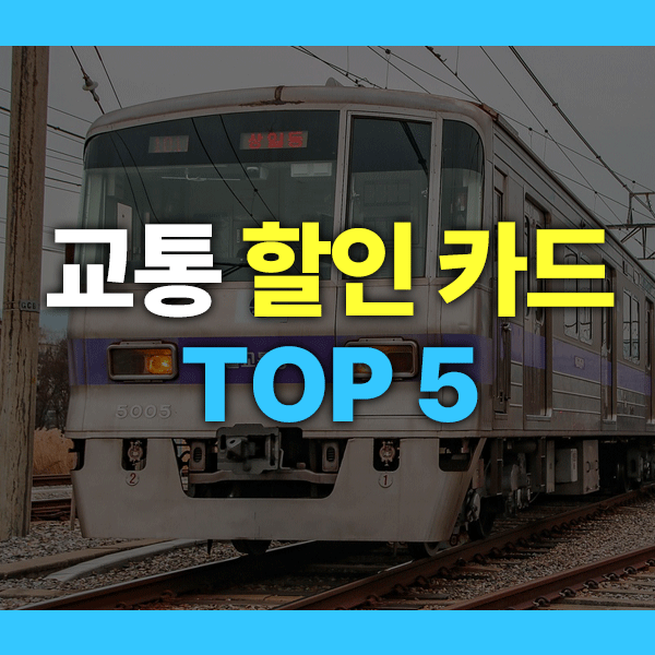 교통 할인 카드 추천 TOP 5|청년·대학생이 많이 쓰는 꿀조합은?