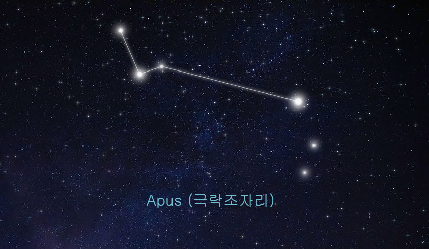 극락조자리 관련 이미지