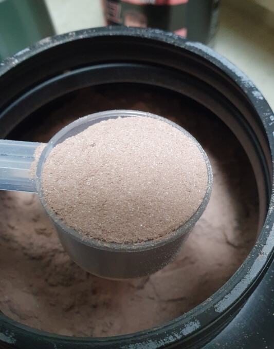 단백질 보충제 분말