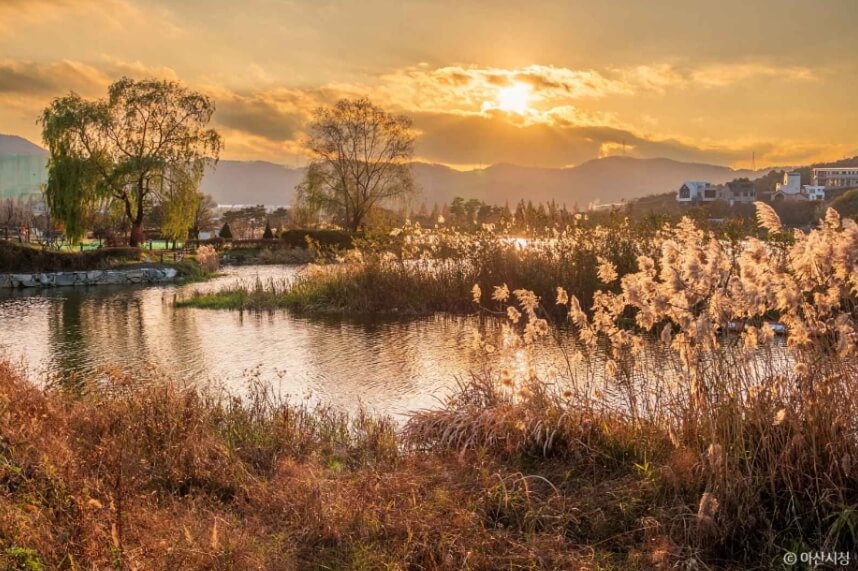 아산 가볼만한곳 베스트 10