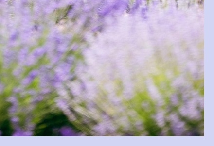 6월 국내 여행지 추천