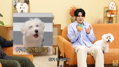 에스쿱스와-반려견