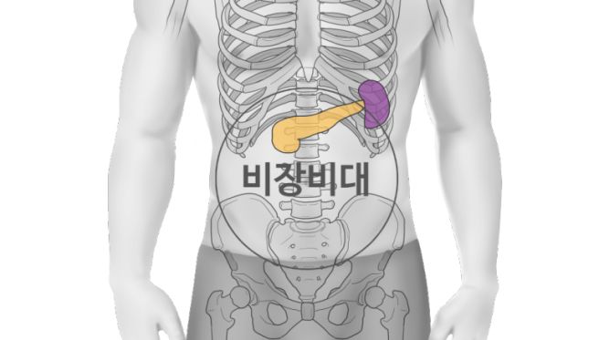 비장이란