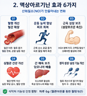 액상아르기닌-효과-섭취방법-과다섭취-부작용-유통기한-추천