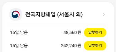 카카오페이
