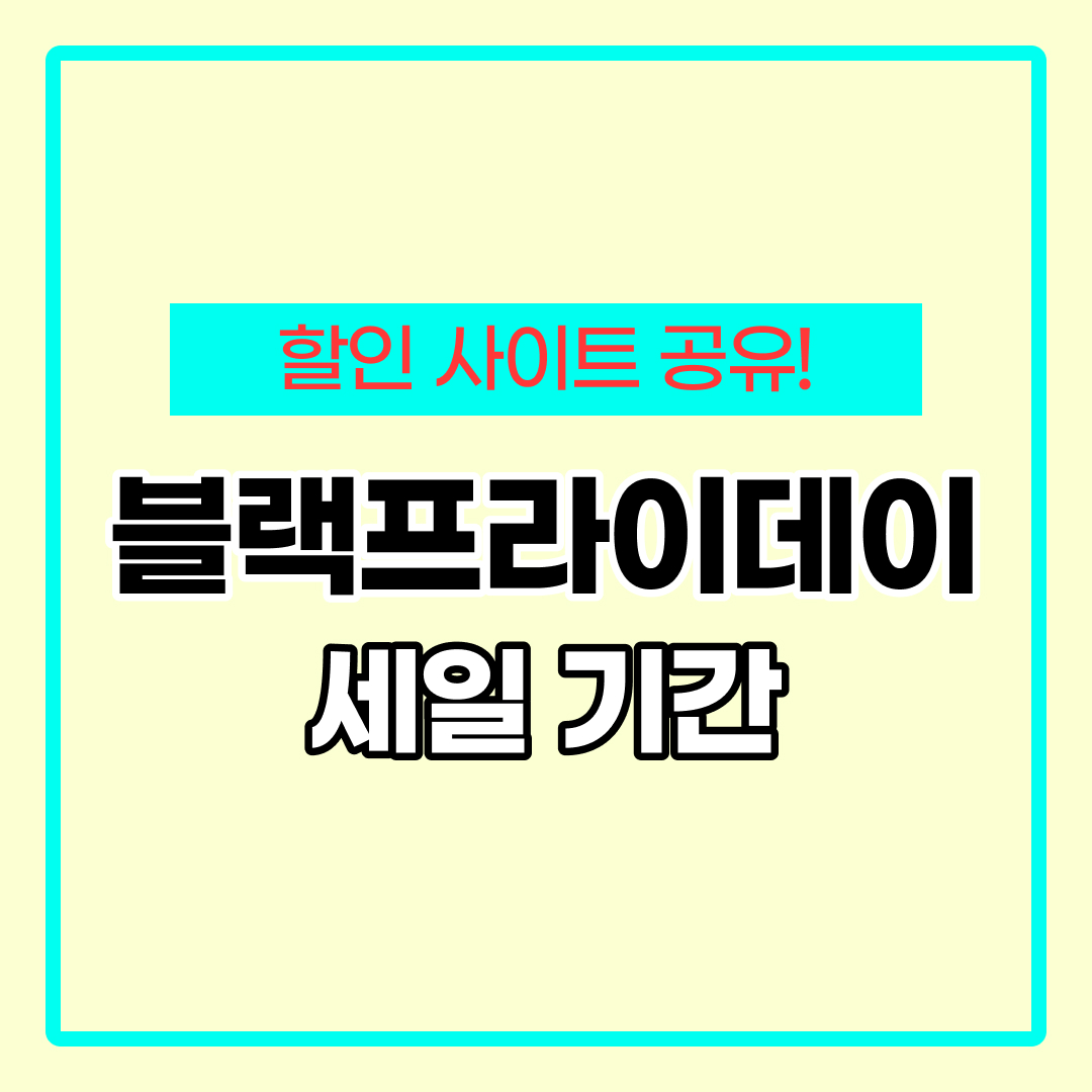 블랙 프라이데이 세일기간