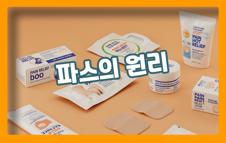파스 표현