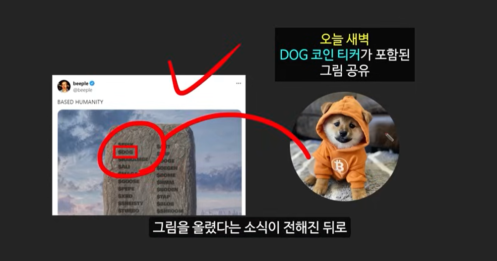 BRC-20 토큰과 비트코인 기반 코인: 사토시 코인의 급등 이유와 주요 토큰 소개 (룬즈, OrangeDX, Dog코인, Pups, ORDI)