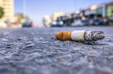 신고포상금 종류 신고방법 및 금액 총정리(24년 Ver)