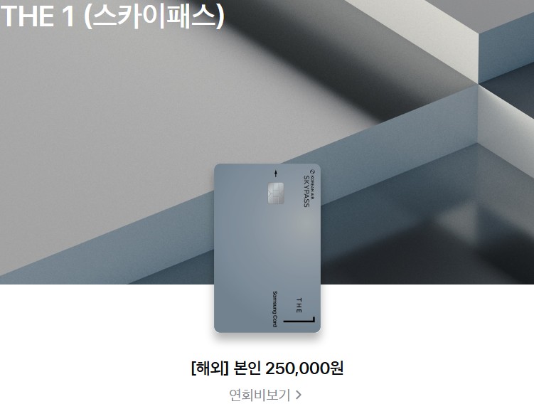 THE 1(스카이패스)