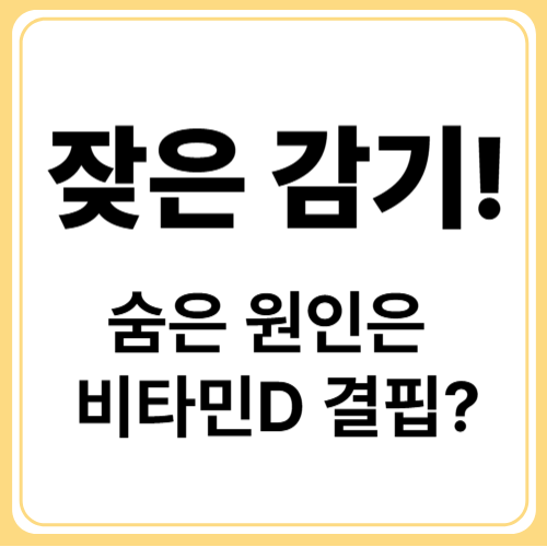 비타민D와 면역력 관계 : 감기 잦다면 꼭 봐야 할 이야기