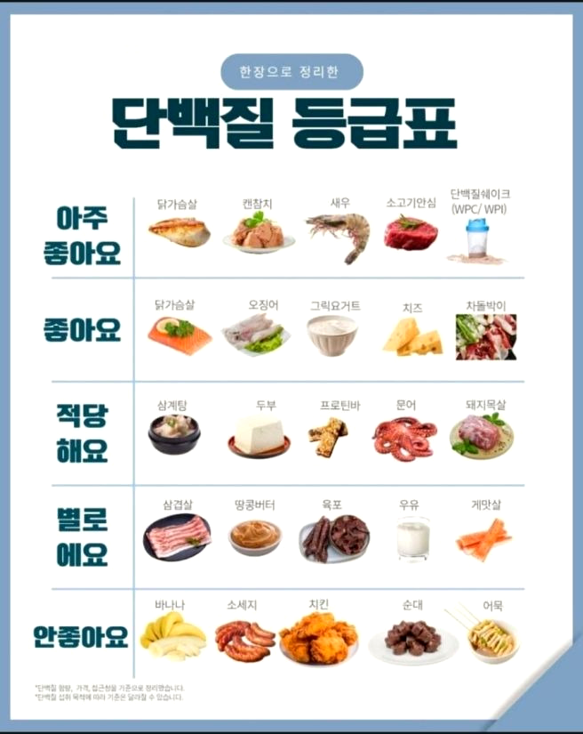 여자 남자 다이어트 하루 단백질 몇g? 몸무게 계산법