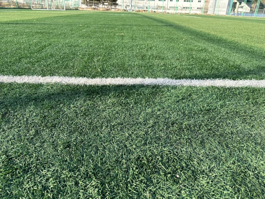 그린파크 잔디 상태