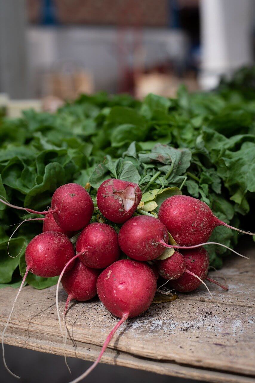 친환경 자연장을 홍보하는 지자체