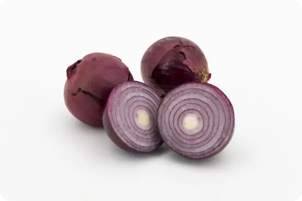 양파장아찌 담그는 법