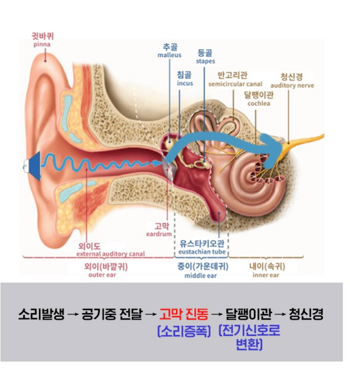 골전도 이어폰 소리전달 방식