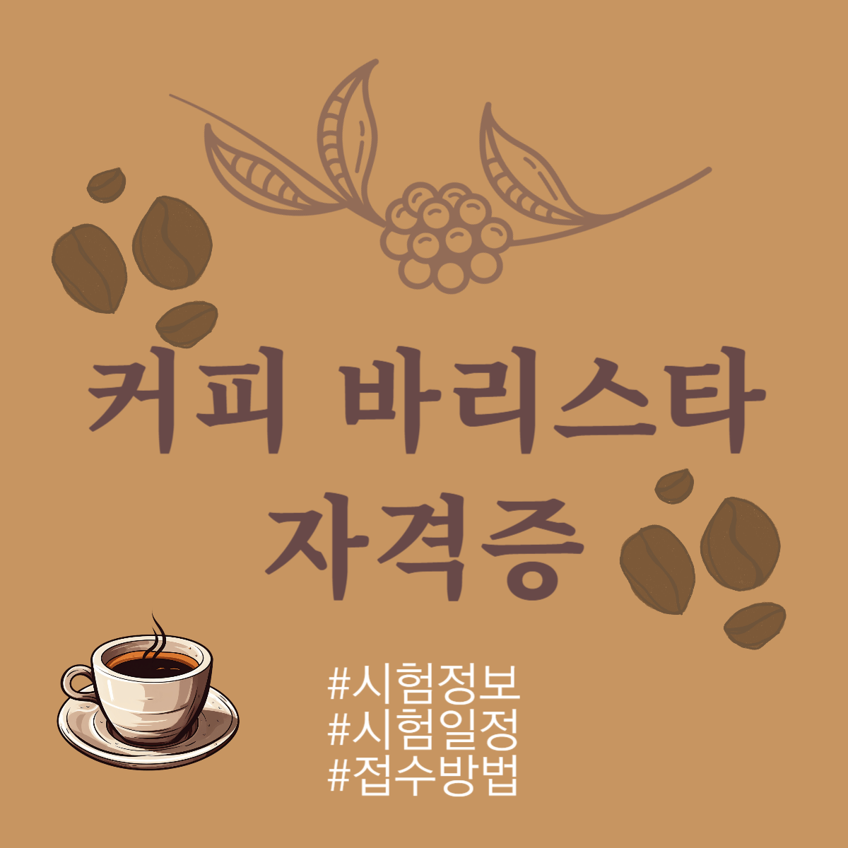 커피 바리스타 자격증: 시험정보, 취득방법, 시험일정