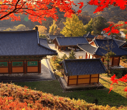 단풍여행 당일 단풍버스여행