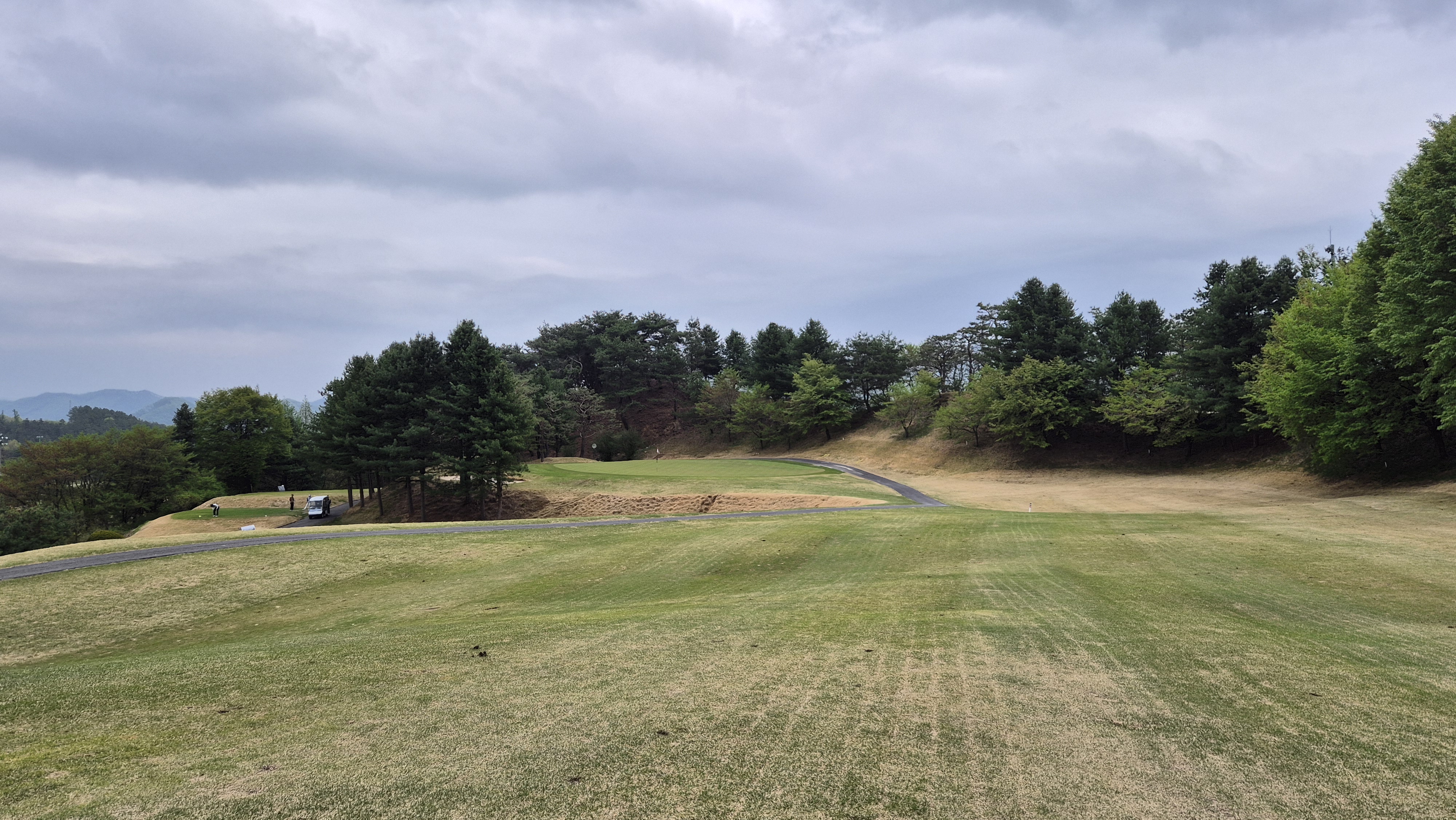 시그너스cc 코튼-라미 코스 사진 및 공략 정보