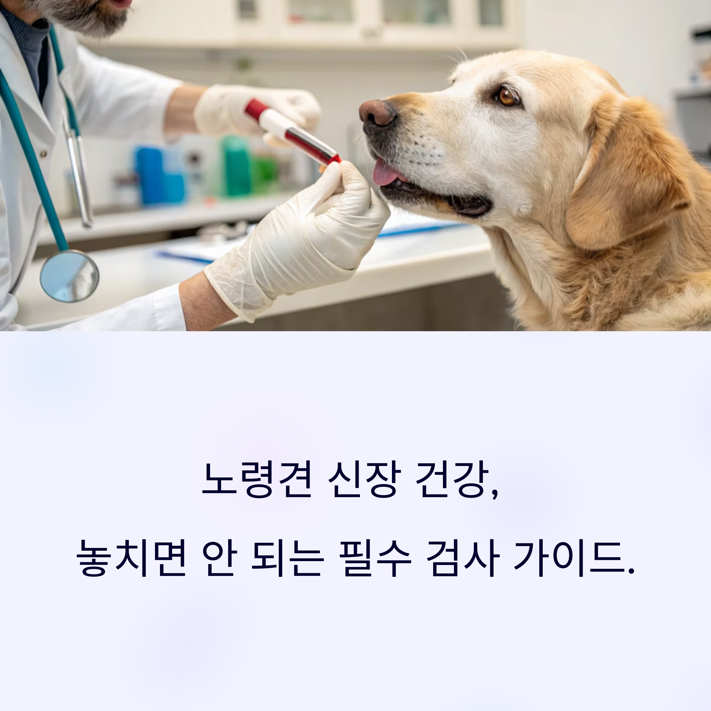 놓치면 안 되는 필수 검사 방법 총정리