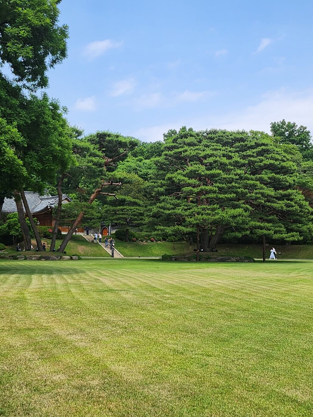 청와대 야간관람 신청