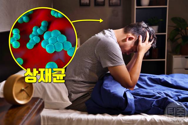 머리냄새 원인 수면부족 머리냄새없애는법