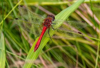 신혼부부 특별공급 조건 총정리|청약 당첨을 노리는 최고의 기회