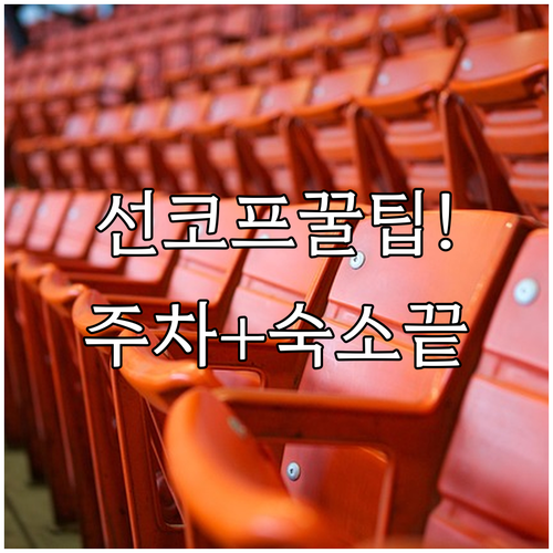 브리즈번 선코프 스타디움 밀턴 역 이..