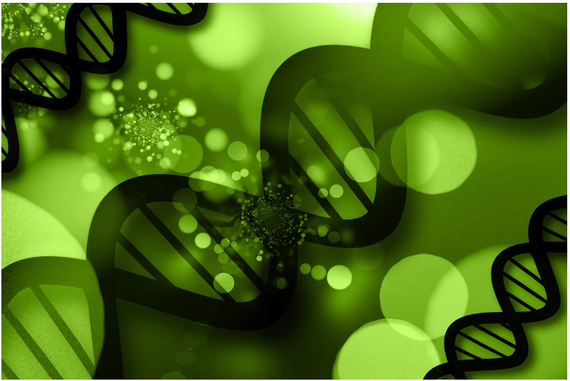 마르판 증후군(Marfan Syndrome)에 대해 알아보기