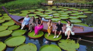 고양국제꽃박람회