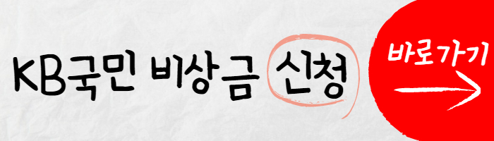 kb국민은행 비상금 대출 썸네일