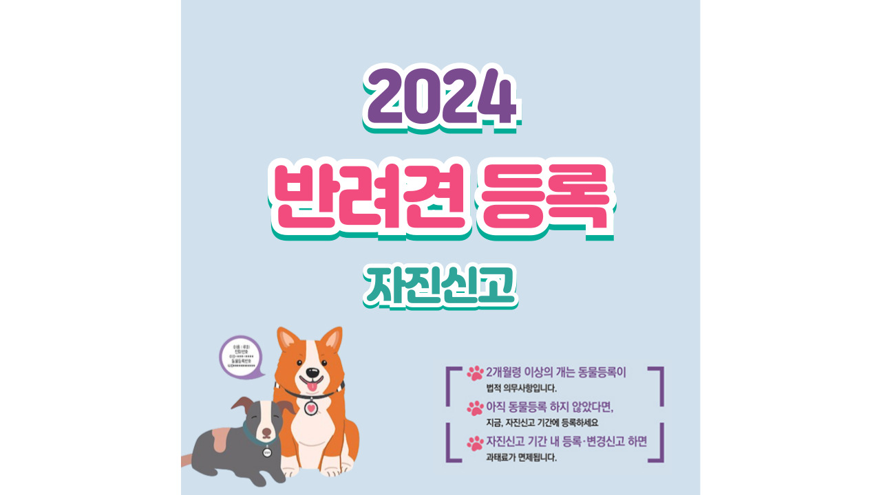 2024 반려동물등록 자진신고 안내