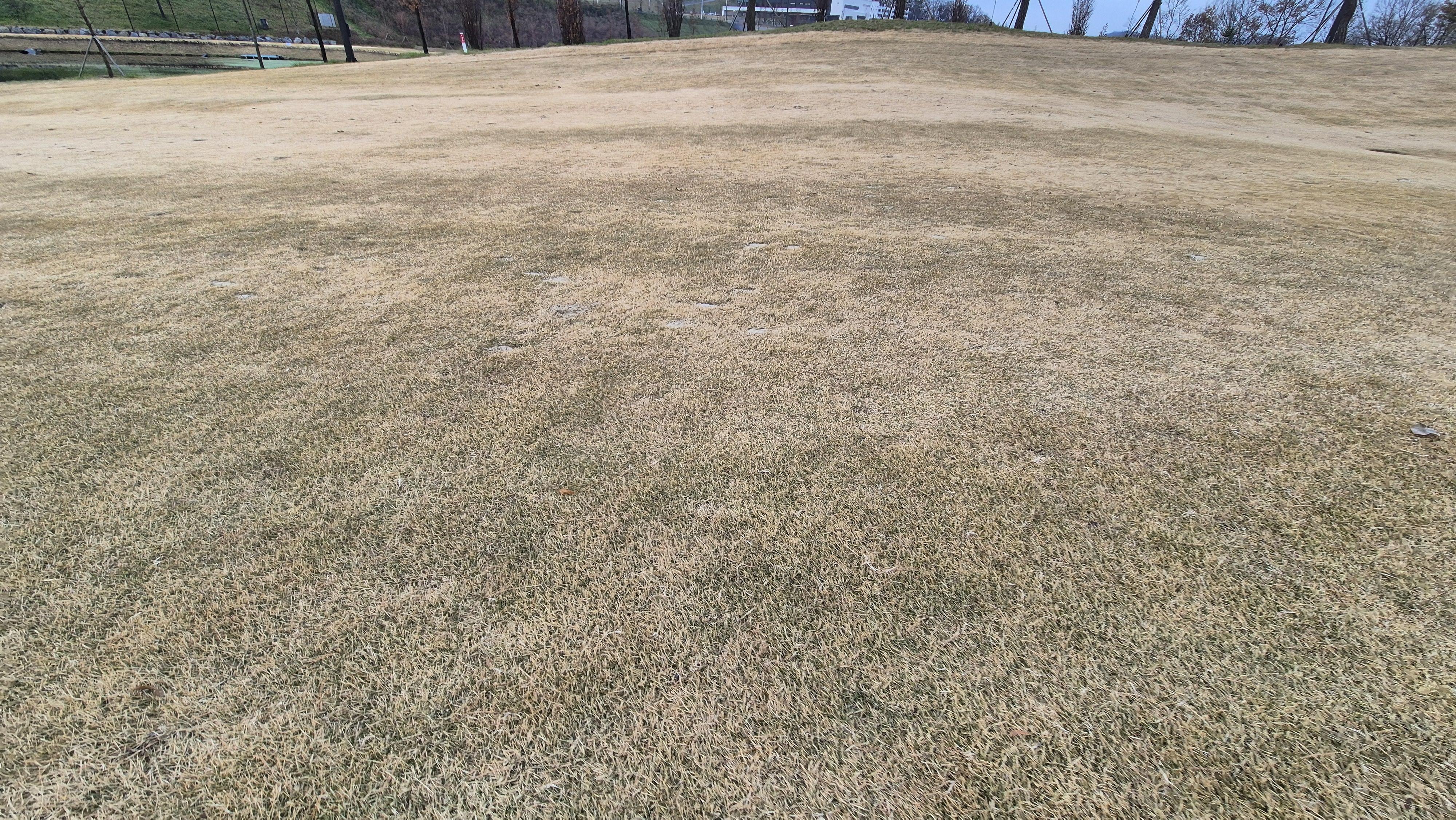 힐데스하임 레이크-힐 코스 코스 관리 상태