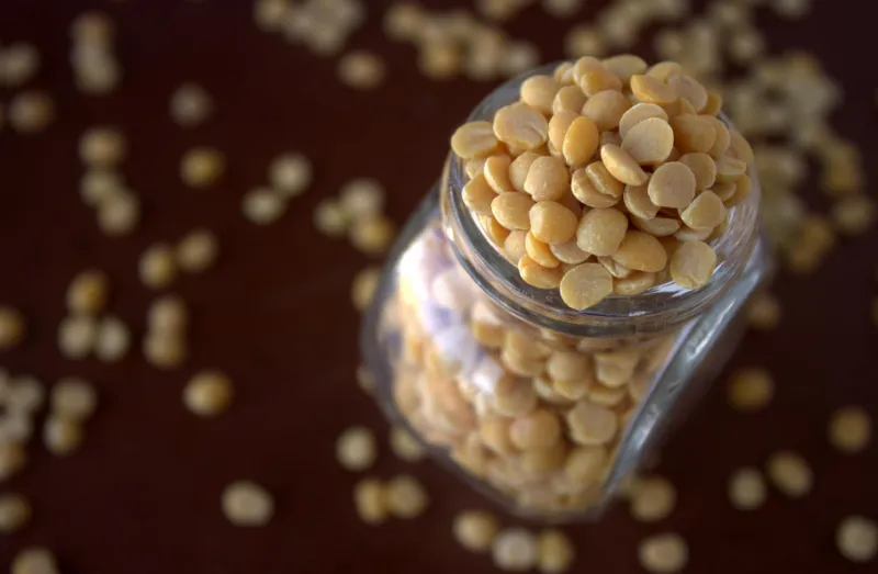 다이어트 중 닭가슴살 대체 식품은? - 7