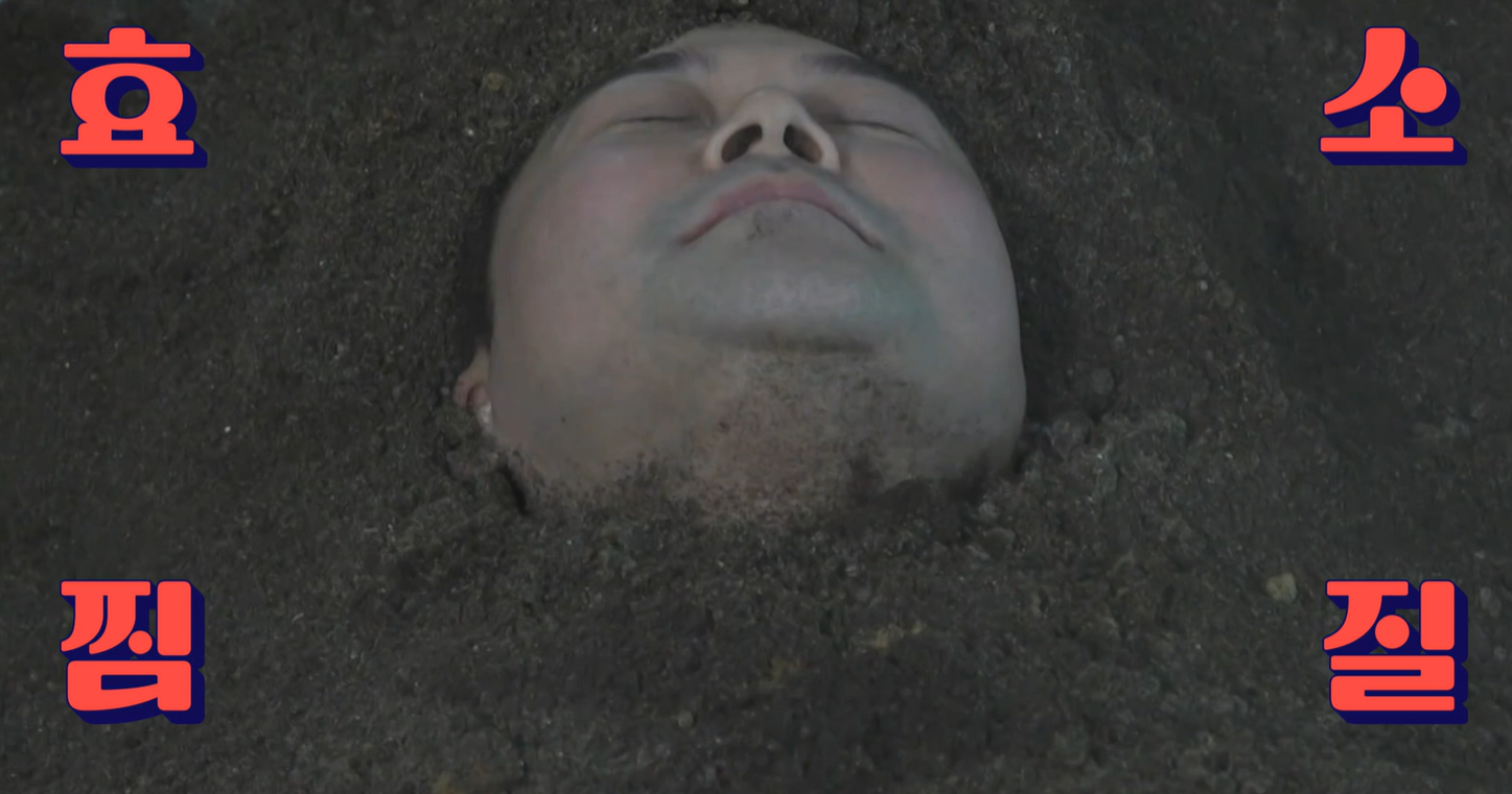 저분자 발효효소