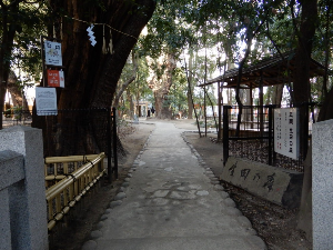 고베 여행 추천 이쿠다신사