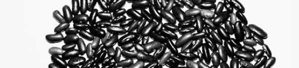 강낭콩 보관법: 5-7일