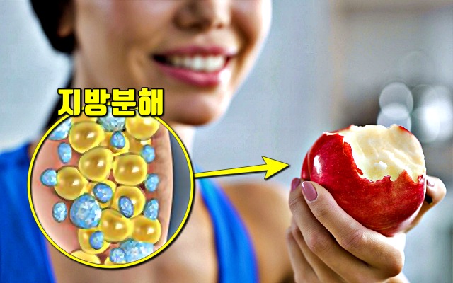 단기간 다이어트 허리 4인치 줄이기 식단,팁줌