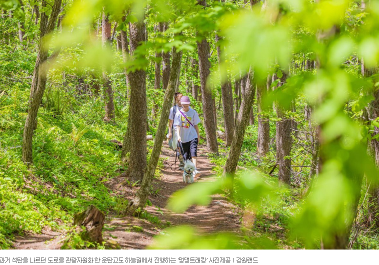 서울근교 강아지 축제