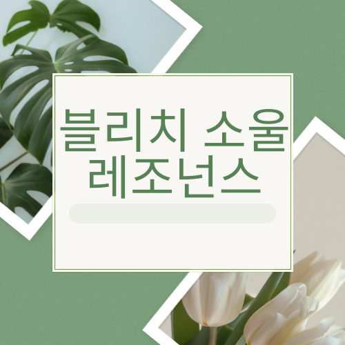 블리치 소울 레조넌스 공략 궁금하셨죠?