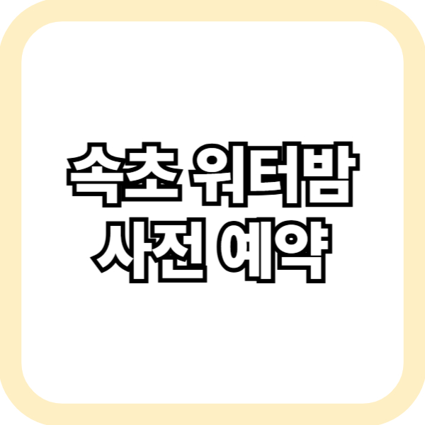 속초 워터밤 사전 예약