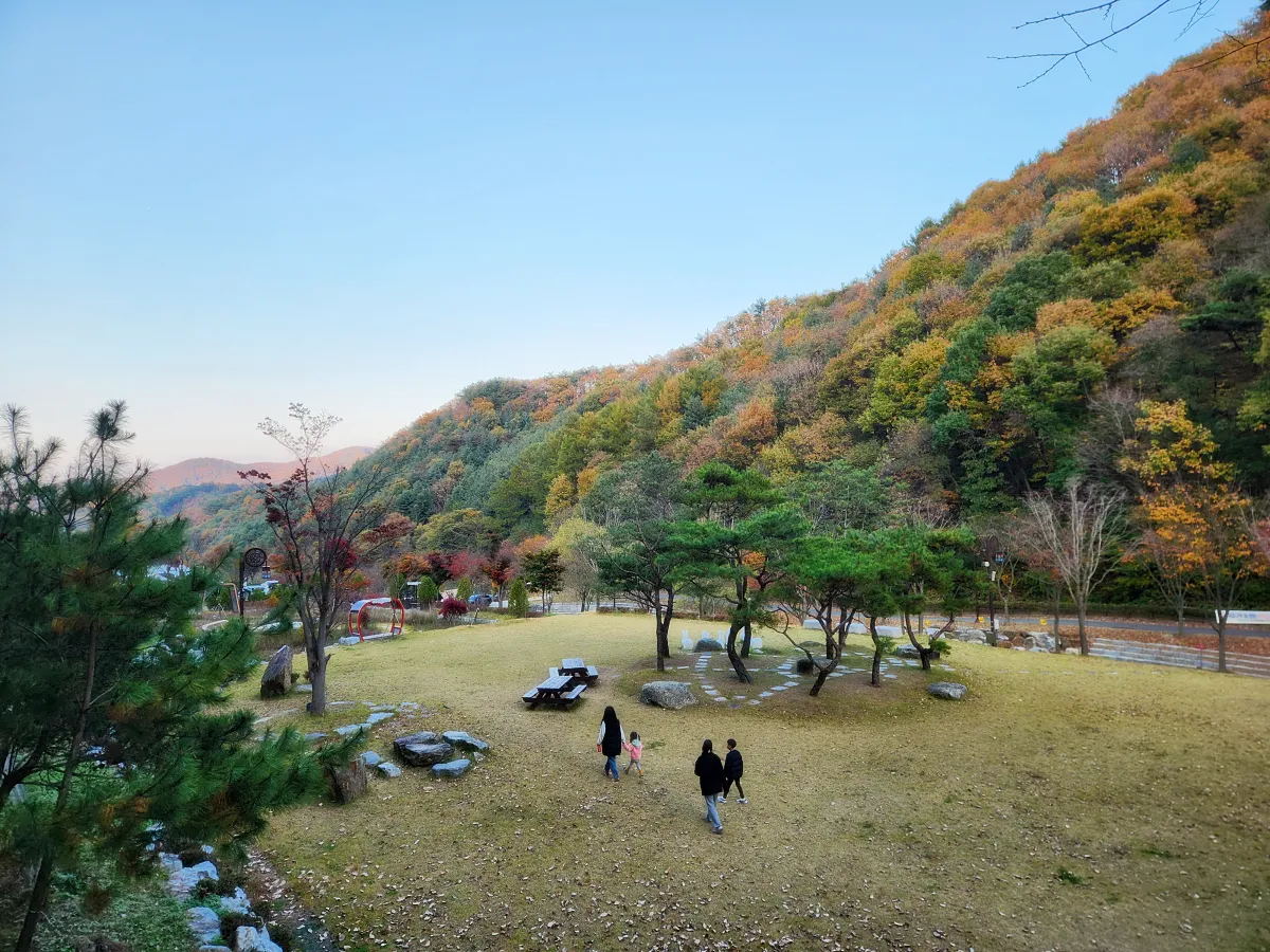 서운산-캠핑장-넓은-부지