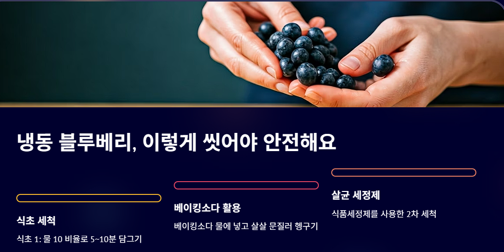 냉동 블루베리, 이렇게 씻어야 안전해요