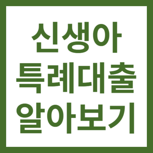 신생아특례대출