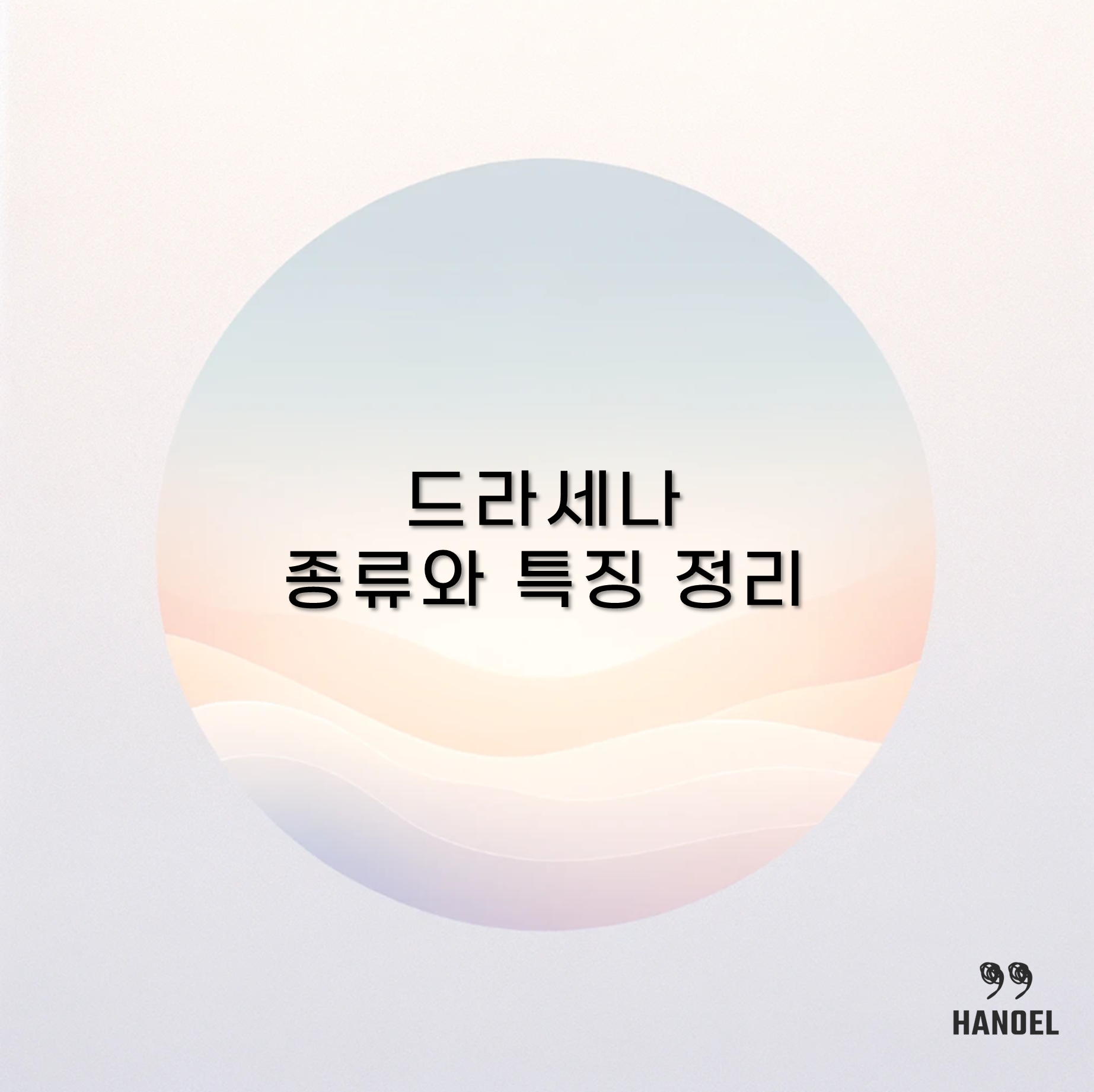 드라세나 종류와 특징 정리 마지나타, 콤팩타, 자마이카, 산데리아나,