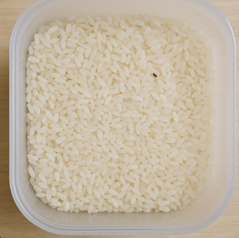 쌀 위에 작게 보이는 쌀벌레